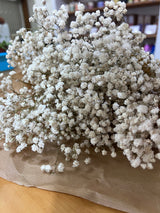 Flores secas - Gipsofila