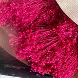 Flores Secas -Broom bloom - Atelier do Sabão