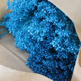 Flores Secas -Broom bloom - Atelier do Sabão