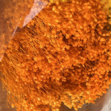 Flores Secas -Broom bloom - Atelier do Sabão