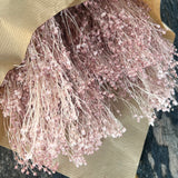 Flores Secas -Broom bloom - Atelier do Sabão