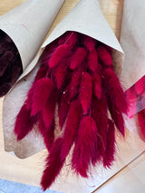 Flores secas - Lagurus