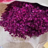 Flores secas - Broom bloom Natural - Atelier do Sabão