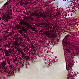 Flores secas - Broom bloom Natural - Atelier do Sabão