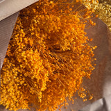 Flores secas - Broom bloom Natural - Atelier do Sabão