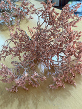 Statice Tatarica - Flores Secas - Atelier do Sabão