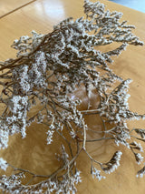 Statice Tatarica - Flores Secas - Atelier do Sabão