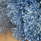 Flores Secas -Broom bloom - Atelier do Sabão