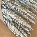 Flores Secas - Tarwe Espiga Laranja - Atelier do Sabão