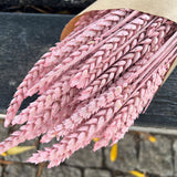 Flores Secas - Espiga Rosa Misty - Atelier do Sabão