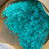 Flores Secas -Broom bloom - Atelier do Sabão