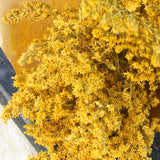 Flores Secas_ Statice_Atelier do Sabão