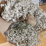 Gipsofila_-_Flores_Secas_-_Atelier_do_Sabao