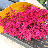 Flores Secas_ Statice_Atelier do Sabão