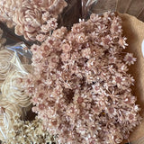 Flores secas - Marcela