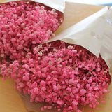 Gipsofila_-_Flores_Secas_-_Atelier_do_Sabao