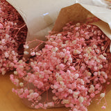 Gipsofila_-_Flores_Secas_-_Atelier_do_Sabao