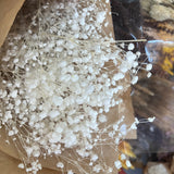 Gipsofila_-_Flores_Secas_-_Atelier_do_Sabao