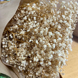 Gipsofila_-_Flores_Secas_-_Atelier_do_Sabao