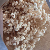 Gipsofila_-_Flores_Secas_-_Atelier_do_Sabao