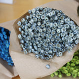 Glixia_Flores Secas_Atelier do Sabão