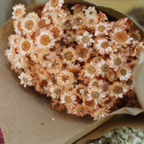 Glixia_Flores Secas_Atelier do Sabão