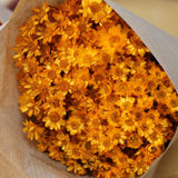 Glixia_Flores Secas_Atelier do Sabão