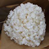 Glixia_Flores Secas_Atelier do Sabão