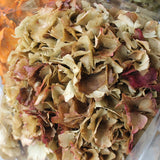 Hidrangea_Flores Secas_Atelier do Sabão5