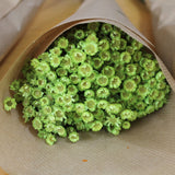 Glixia_Flores Secas_Atelier do Sabão