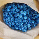 Glixia_Flores Secas_Atelier do Sabão