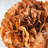 Hidrangea_Flores Secas_Atelier do Sabão5