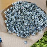 Glixia_Flores Secas_Atelier do Sabão