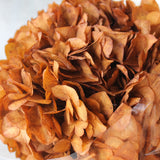 Hidrangea_Flores Secas_Atelier do Sabão5