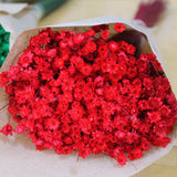 Glixia_Flores Secas_Atelier do Sabão