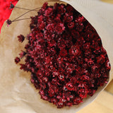 Glixia_Flores Secas_Atelier do Sabão