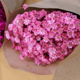 Glixia_Flores Secas_Atelier do Sabão