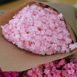 Glixia_Flores Secas_Atelier do Sabão