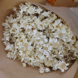 Glixia_Flores Secas_Atelier do Sabão