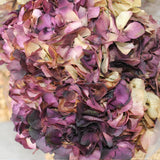 Hidrangea_Flores Secas_Atelier do Sabão5