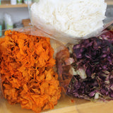 Hidrangea_Flores Secas_Atelier do Sabão