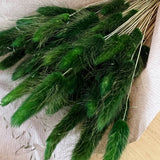 Flores Secas - Lagurus Laranja - Atelier do Sabão