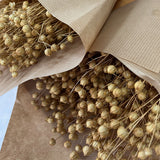 Flores secas - Linum _Atelier do Sabão