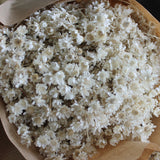 Marcela - Flores Secas - Atelier do Sabão