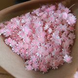 Marcela - Flores Secas - Atelier do Sabão