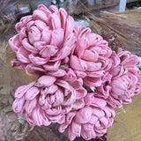 SHOLA_FLORESSECAS_ATELIERDOSABAO