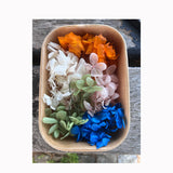 Flores Secas - Caixa de Hortências - Atelier do Sabão