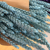 Espiga - Flores Secas - Atelier do Sabão