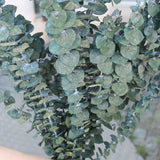 Eucaliptus baby - Flor preservada - Atelier do Sabão