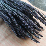 Tarwe - Espiga Natural - Flores secas - Atelier do Sabão